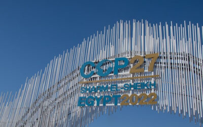 COP 27 – Positive updates from the global climate gathering